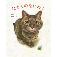 고양이 책 도서 어리석은 고양이 일본 직배송