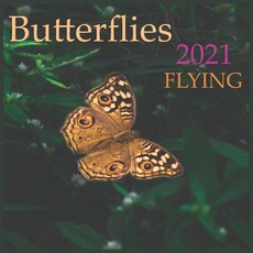 Butterflies FLYING: 2021 Wall & Office Calendar 12 Month Calendar Paperback, Independently Published