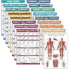 Palace Learning 트레이닝포스터 자세표 벽보 17 팩 - 운동 포스터 세트 덤벨 서스펜션 케틀벨 근육질 메디신 볼 배틀 로프 저항 밴드 스트레칭 체급 바벨 요가 등, LAMINATED, 18" x 24", 18" x 24"