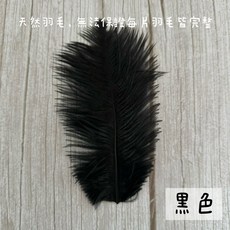 裝飾鴕鳥毛 15-20公分 單片販售 天然羽毛 乾燥花材 包裝裝飾, 黑色