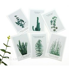 日皇 INS拍照卡片 植物系列背景紙, 大號1入-14*21cm(隨機出貨)