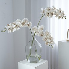 메이크유어홈 호접란 조화 실크플라워 생화같은 인테리어 대형, 아이보리, 1개