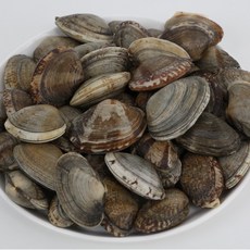 국내산 자연산 해감 선별조개 세척 생물 활바지락, 1개, 중size 800g