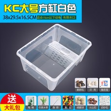 生態烏龜缸 大容量水龜/半水龜通用飼養缸, 大號白色KC缸+大禮包, 1個