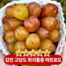 경북 김천 달콤한 꿀당도 이색 과일 캔디하트 마이하트 포도, 1박스, 2kg(3-5수)