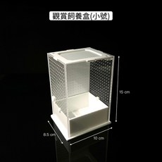 野境 觀賞飼養盒 壓克力材質 螳螂 昆蟲 甲蟲適用 透明易清潔, 1個