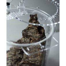 아크릴 비바리움 사육장 소 / 비바리움DIY 이끼키우기 테라리움 베타어항 모스볼 타란튤라, 1개