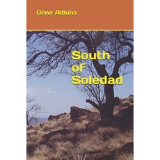 South of Soledad Paperback, Independently Published, English, 9798693648517