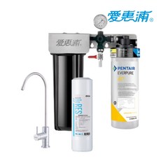 愛惠浦 櫥下型兩道式生飲淨水器, AC2+樹脂 (兩道)