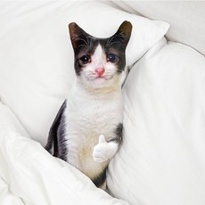 굴뚝강아지 반전 따봉냥 인형 쿠션, 1개, 단일, 45cm