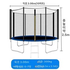 실외 트램폴린 에어로빅 안전망 야외, 10ft 3.06m 안전망 사다리 포함