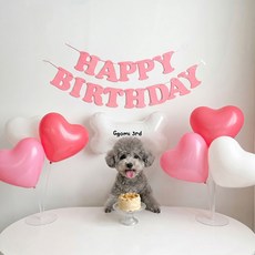 강아지 고양이 생일파티용품 가랜드 풍선 이벤트 룸 꾸미기, 1세트, 미니생일파티 핑크