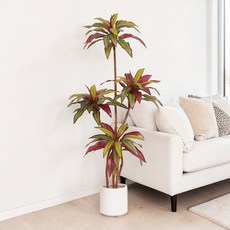 好運能量守護樹 彩葉千年木 1.8公尺 室內大型仿真植栽 (贈送花盆), 好運能量守護樹彩葉千年木1.8公尺室內大型仿真植栽（贈送花盆）, 1個