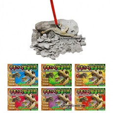 공룡화석발굴키트, 1개