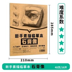 素描臨摹本 零基礎入門自學 贈課程幾何體靜物石膏像畫畫本, 石膏像（難度5）