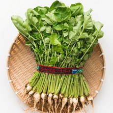 열무 어린열무 김치용 2kg 4kg 6kg 8kg, 1개, 2단(4kg내외)