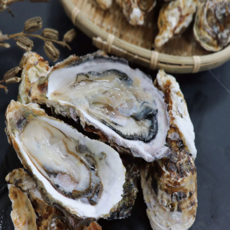 사계절 석화 삼배체굴 3kg 5kg 10kg 국내산 각굴 통영굴 생굴, 1개