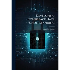 (英文圖書)Developing Cyberspace Data Understanding 平裝版, Hutson Street Press, 英文