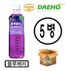 대호 카르페데이 블루베리 액상 1000ml x 5개, 1L