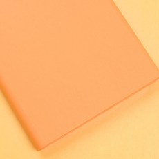 습자지 색화지 [8절 200장/400장][2절 100장/200장], 주황색