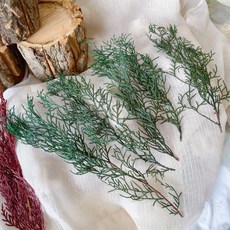 大地農園永生扁柏花圈材料，聖誕節裝飾DIY，永生松柏藍柏，手作花圈禮物, 墨綠職業裝約50g,無法均一樣喔！, 1個