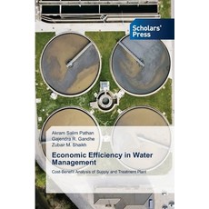 (英文圖書)Economic Efficiency in Water Management 平裝版, Scholars' Press, 英文