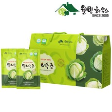 양배추즙 원조 웰빙하우스 양배추즙 120팩(4박스구성), 2.7L, 4개
