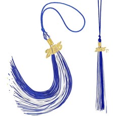 5pcs 졸업식 태슬 충족 간식 캡을 Blue/ 2025개를 and 클래스, Blue White-5pcs, 1개