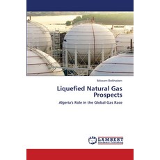 (英文圖書)Liquefied Natural Gas Prospects 平裝版, LAP Lambert Academic Publis..., 英文