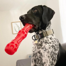 멍냥이월드 강아지 라텍스 뼈다귀 장난감, 1개, 빨강