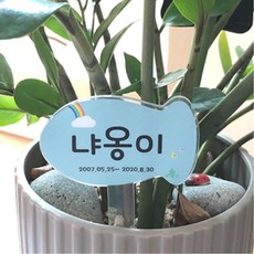 아크릴 동물 화분장 팻말 강아지 고양이 수목장 이름표 반려동물 귀여운 환경판 병원, 물고기