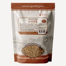 당연구소 이집트 고대곡물 호라산밀 카뮤트 쌀, 1개, 950g