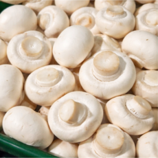 당일수확 부여 양송이버섯, 1박스, 최상품 양송이버섯 1kg