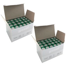 벡셀 망간 AA 건전지, 2박스, 24개입