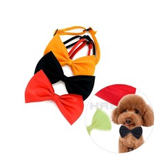 애견 나비넥타이 고양이넥타이, 1개, 검정