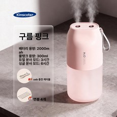 무선 공기 듀얼 노즐 대용량 탁상용 차량용 충전식 USB 가습, 모델 A 핑크, 기본 모델명/품번