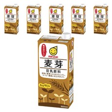 marusan 丸三 麥芽豆乳飲料, 6入, 1L