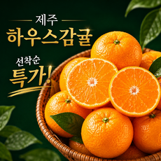 [초특가] 제주 하우스감귤 산지직송 제주감귤 제철과일, 1박스, 5kg