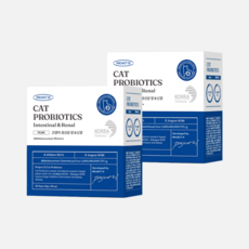 [냉장배송] 프로젝트21 고양이 유산균 장 신장 신부전 영양제 변비 설사, 장건강/유산균, 60개