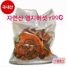 자연산 영지버섯 500g 국내산 영지버섯 100% 국산 영지버섯 정품 특산품 건조영지 * original mountain * 특산품