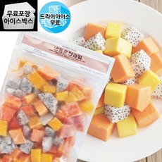 제이케이푸드 Y. 아토 냉동 혼합과일 1kg (드라이) 열대과일 3종 파파야 망고 용과 냉동과일, 1개