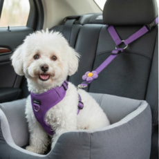 레인보우캣 강아지 차량용 안전벨트 반려동물 헤드레스트 안전벨트, 1개, 퍼플