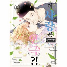 이 사랑은 연극?! 11, 상품명