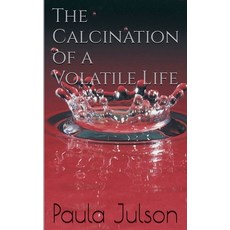 (영문도서)Make It Beautiful Paperback, Paula Julson, English, 9798230517238