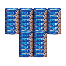 마일드참치 들 (총 ), 1개, 100g
