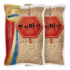 현대농산 수입 늘보리 겉보리 꽁보리, 5kg, 2개