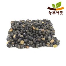 재팥 500g 국산 회색팥 거두