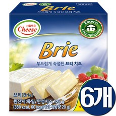 매일 카스텔로 브리치즈 125g 6개입/숙성치즈/냉장배송, 6개