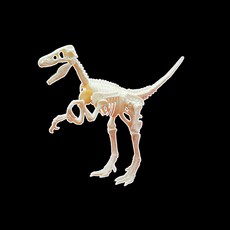빅사이언스 PVC 입체공룡 (벨로시랩터)