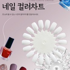 로컬코리아 네일 컬러차트 네일칼라, 투명